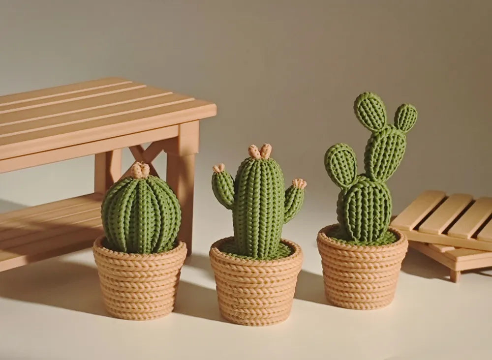 🌵🌵🌵Kaktus 🌵🌵🌵