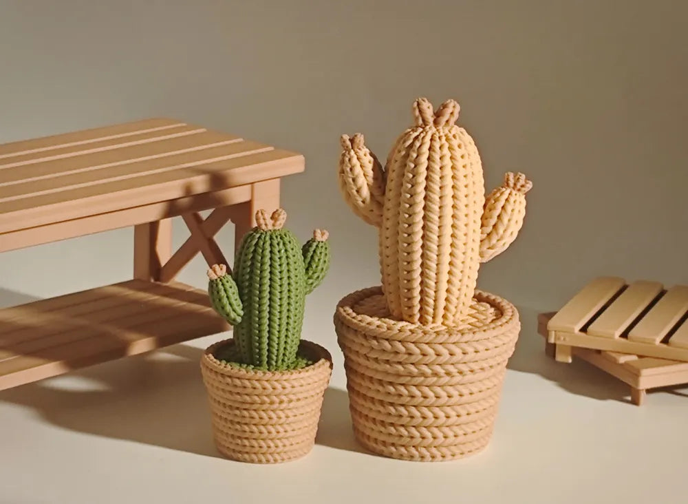 🌵🌵🌵Kaktus 🌵🌵🌵