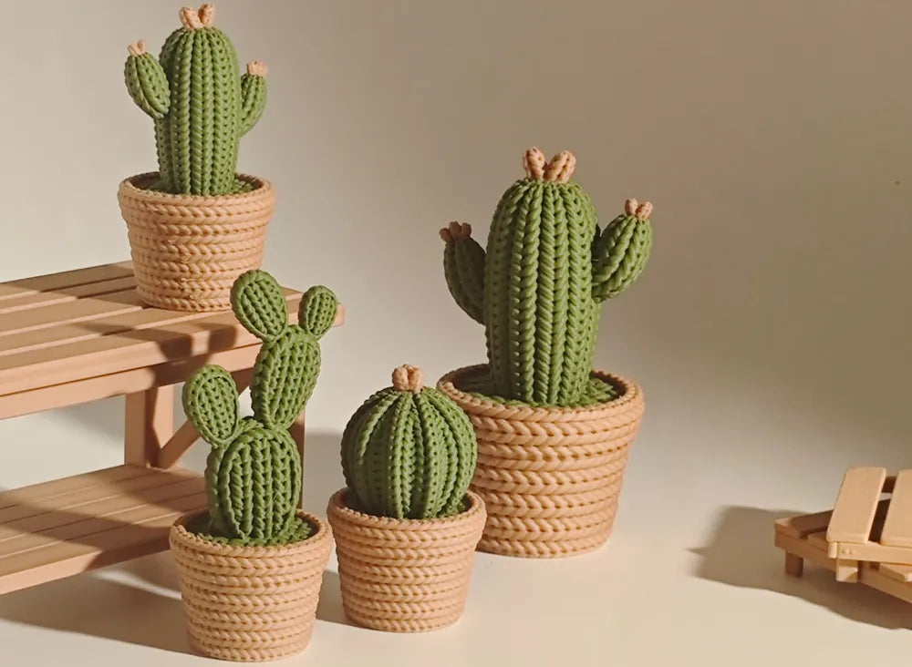 🌵🌵🌵Kaktus 🌵🌵🌵