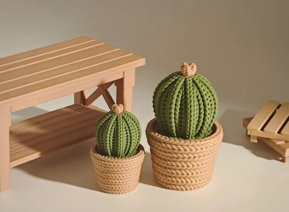 🌵🌵🌵Kaktus 🌵🌵🌵