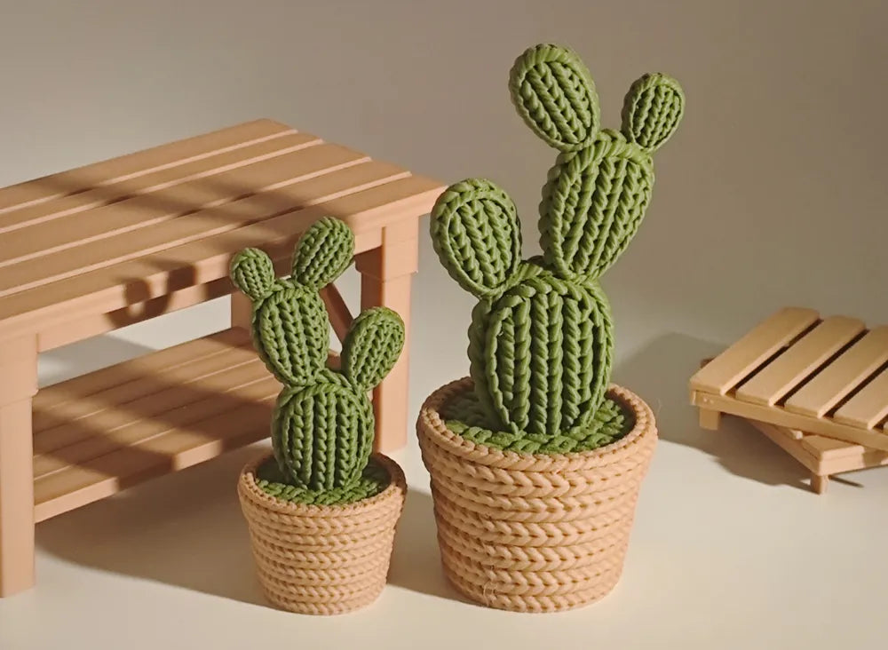 🌵🌵🌵Kaktus 🌵🌵🌵
