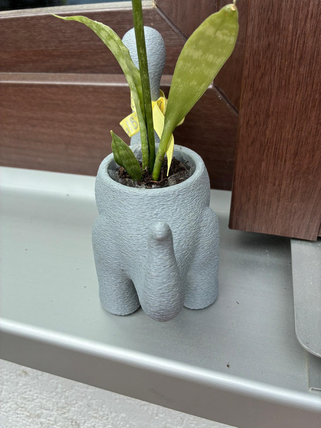 🦖 Süßer Dino-Pflanztopf🦖
